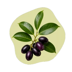 Jamun