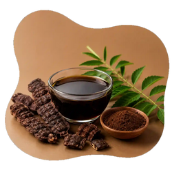 Shikakai Extract