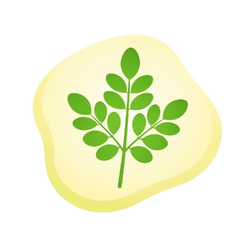 Moringa Extract