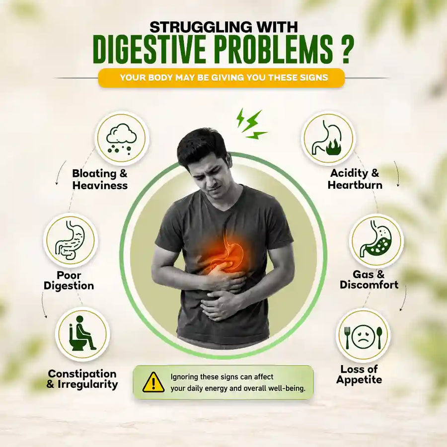 Herbal Gasnil Plus Powder For Digestive Health & Gas Relief